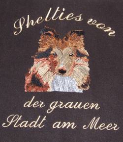 Shelties von der grauen Stadt am Meer